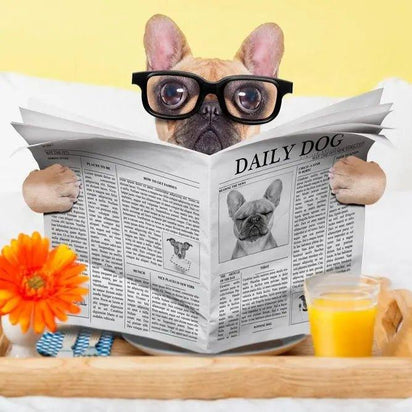 How To Make a Dog Sleep in His Bed - Bean Bags R Us